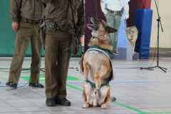 2025 - Dia del Carabinero
